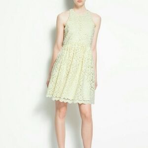 Zara buttercup yellow guipure lace dress spring wedding shower 0 2 xs